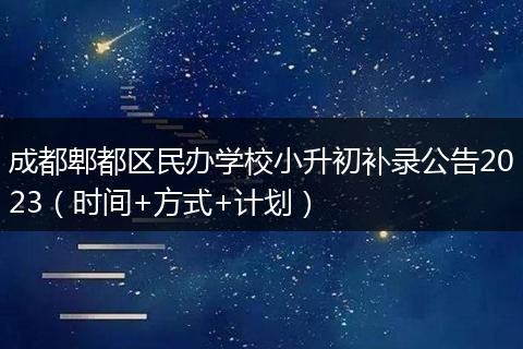 成都郫都区民办学校小升初补录公告2023（时间+方式+计划）