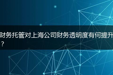 财务托管对上海公司财务透明度有何提升?