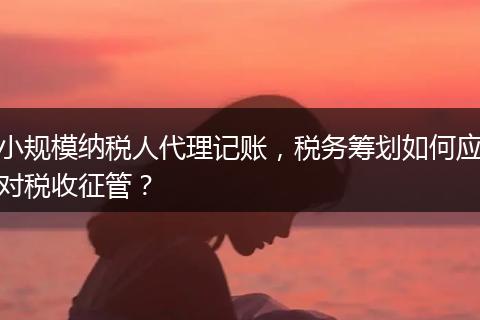 小规模纳税人代理记账,税务筹划如何应对税收征管?