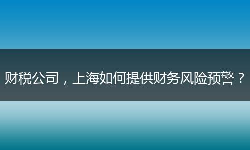 财税公司,上海如何提供财务风险预警?