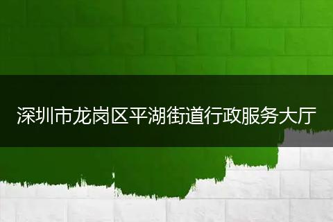 深圳市龙岗区平湖街道行政服务大厅