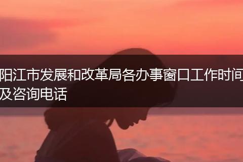 阳江市发展和改革局各办事窗口工作时间及咨询电话