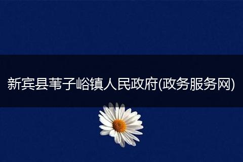 新宾县苇子峪镇人民政府(政务服务网)