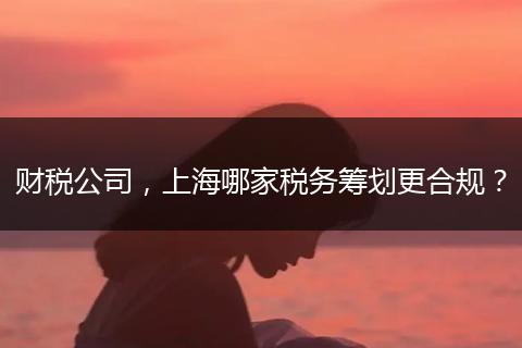 财税公司,上海哪家税务筹划更合规?