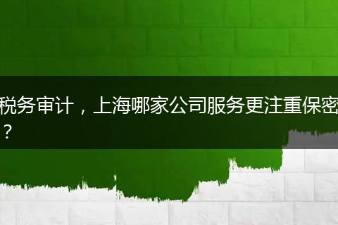 税务审计,上海哪家公司服务更注重保密?