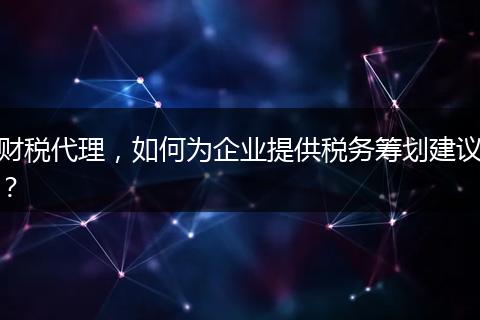 财税代理,如何为企业提供税务筹划建议?