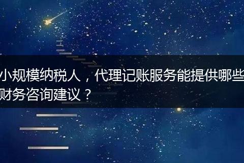 小规模纳税人，代理记账服务能提供哪些财务咨询建议？