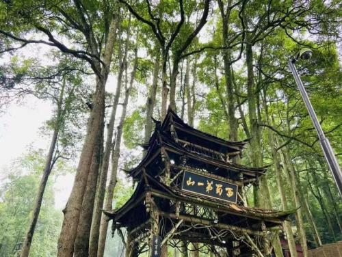 2024青城山都江堰景区中秋免门票活动详情（时间+规则）