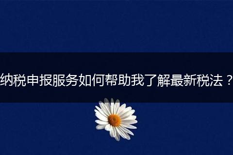 纳税申报服务如何帮助我了解最新税法?