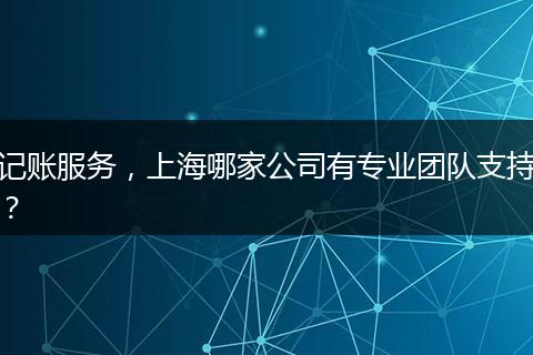 记账服务,上海哪家公司有专业团队支持?