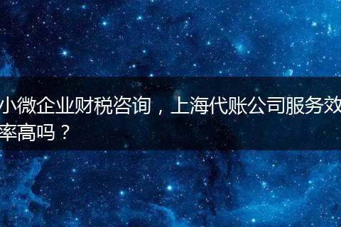 小微企业财税咨询,上海代账公司服务效率高吗?