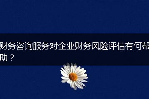财务咨询服务对企业财务风险评估有何帮助?