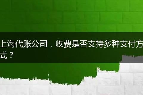上海代账公司,收费是否支持多种支付方式?