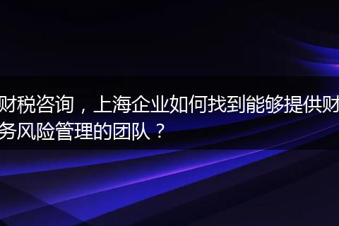 财税咨询，上海企业如何找到能够提供财务风险管理的团队？