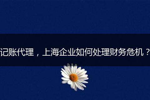 记账代理,上海企业如何处理财务危机?