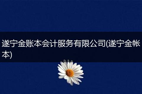 遂宁金账本会计服务有限公司(遂宁金帐本)