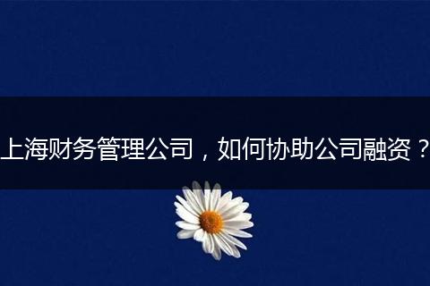 上海财务管理公司,如何协助公司融资?