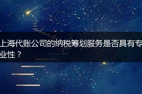 上海代账公司的纳税筹划服务是否具有专业性?