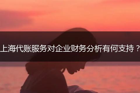 上海代账服务对企业财务分析有何支持?