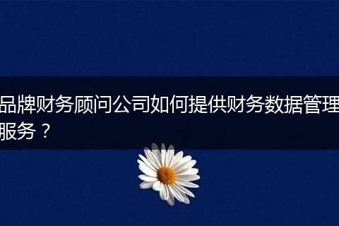品牌财务顾问公司如何提供财务数据管理服务?