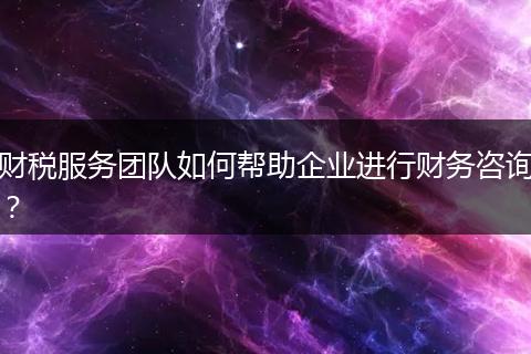 财税服务团队如何帮助企业进行财务咨询？