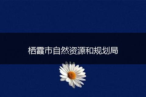 栖霞市自然资源和规划局