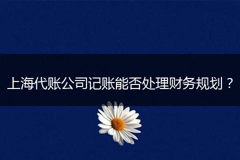 上海代账公司记账能否处理财务规划?