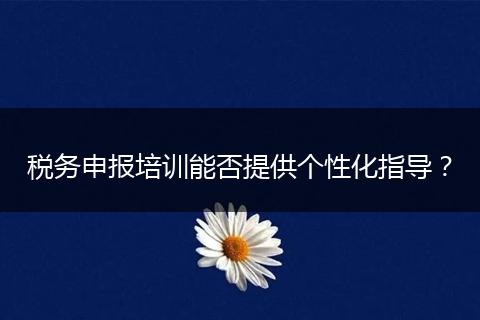 税务申报培训能否提供个性化指导?