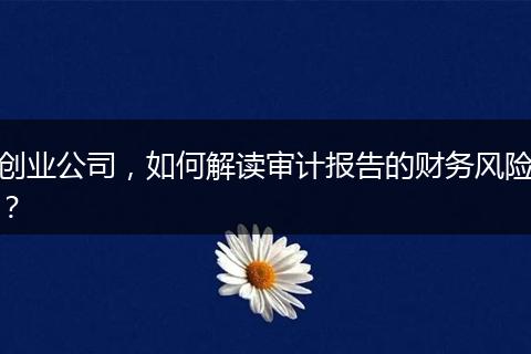 创业公司,如何解读审计报告的财务风险?