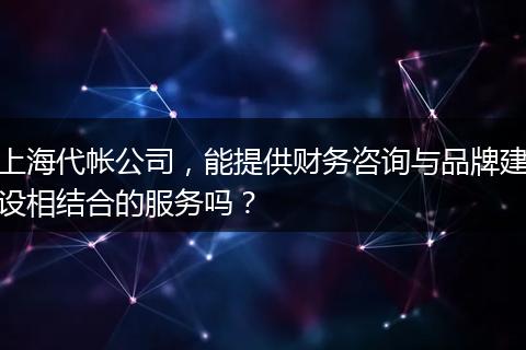 上海代帐公司,能提供财务咨询与品牌建设相结合的服务吗?