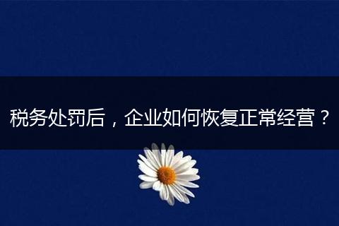 税务处罚后,企业如何恢复正常经营?