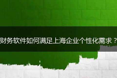 财务软件如何满足上海企业个性化需求?