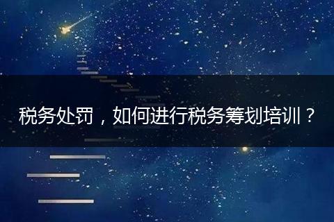 税务处罚,如何进行税务筹划培训?