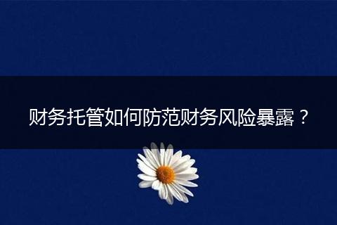 财务托管如何防范财务风险暴露?