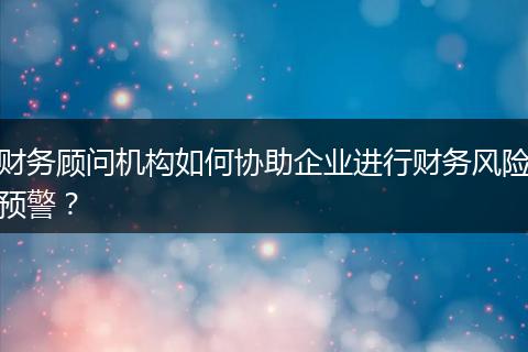 财务顾问机构如何协助企业进行财务风险预警?