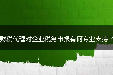 财税代理对企业税务申报有何专业支持?