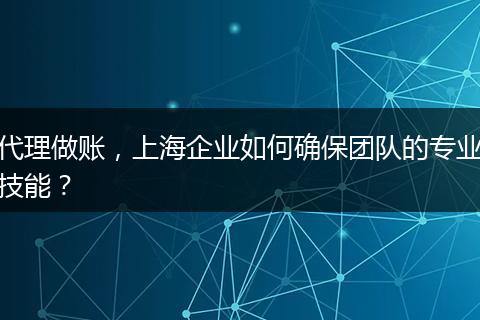 代理做账,上海企业如何确保团队的专业技能?