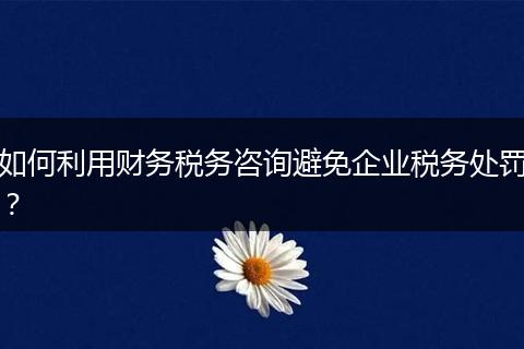 如何利用财务税务咨询避免企业税务处罚?