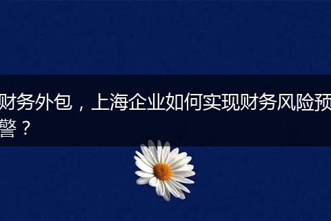 财务外包,上海企业如何实现财务风险预警?