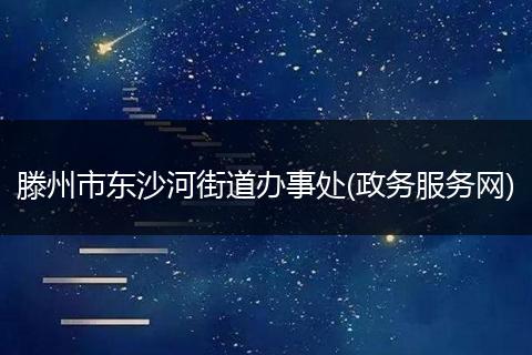 滕州市东沙河街道办事处(政务服务网)