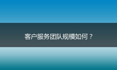 客户服务团队规模如何?