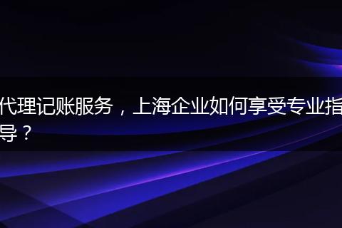 代理记账服务,上海企业如何享受专业指导?