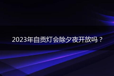 2023年自贡灯会除夕夜开放吗？