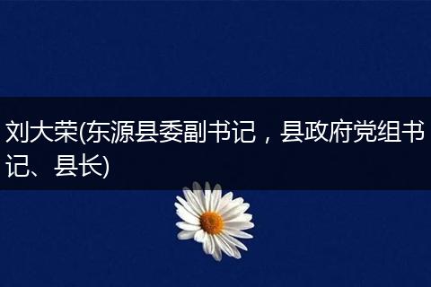 刘大荣(东源县委副书记,县政府党组书记、县长)