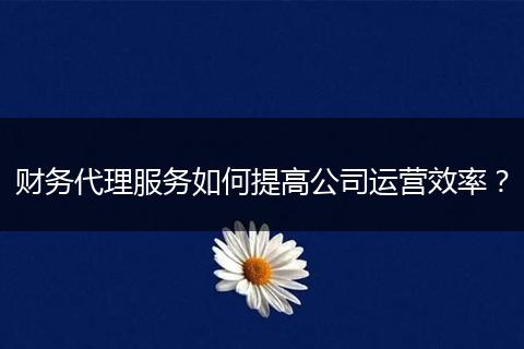 财务代理服务如何提高公司运营效率?