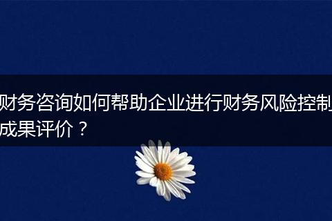财务咨询如何帮助企业进行财务风险控制成果评价?