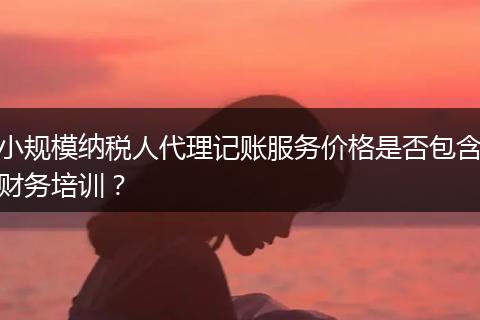 小规模纳税人代理记账服务价格是否包含财务培训?
