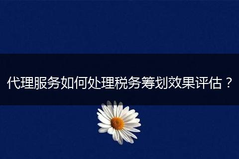 代理服务如何处理税务筹划效果评估?