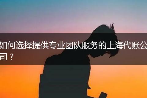 如何选择提供专业团队服务的上海代账公司?