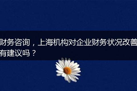 财务咨询,上海机构对企业财务状况改善有建议吗?